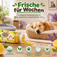 🐾 Desodorierendes Granulat für Katzenstreu – Einfache Geruchskontrolle zum Aufstreuen in fünf frischen Duftrichtungen 🌿🏠