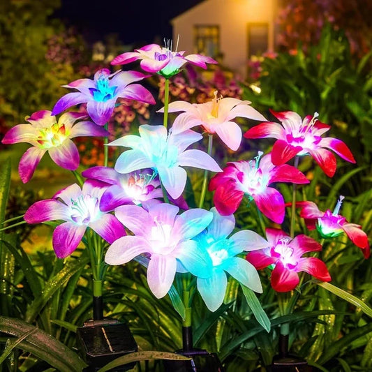 🔥HEISSER VERKAUF 49% RABATT🔥🎄Solarbetriebene blühende Lilienblumen Lichter🎄