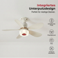 💡🔊 3-in-1 Deckenventilator mit Lampe & Bluetooth-Lautsprecher | Multifunktional & Praktisch