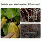 🔥2025 Heißer Verkauf 50%OFF 🌞 Home Gardening Universal Langzeitdünger in Tablettenform Organischer Dünger