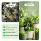 🔥2025 Heißer Verkauf 50%OFF 🌞 Home Gardening Universal Langzeitdünger in Tablettenform Organischer Dünger