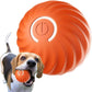 Begrenzte Zeit 50% Rabatt🎁Automatischer intelligenter Hundeball zum Necken🐶