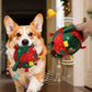 Interaktiver Hunde-Weihnachts-Fußball mit Glöckchen 🎄🐶🐱