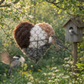 🕊️ Handgefertigtes Vogelnestherz aus Alpakafasern