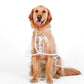 🐾 Regenwetter? Dein Hund bleibt trocken! – Transparenter Regenmantel für Hunde – leicht, bequem & einfach anzuziehen – perfekt für nasse Spaziergänge 🌧️✨