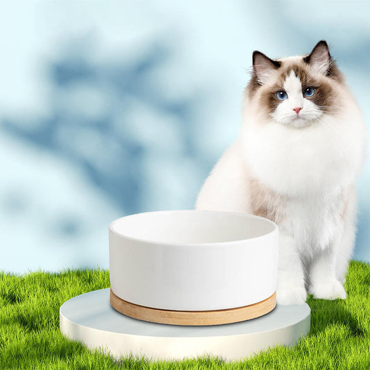 USB-beheizter Wassernapf für Hunde und Katzen