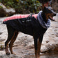 Wasserdichte warme Weste Jacke für Hund