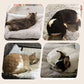 Selbstheizende Katzen-Hunde-Kissen