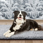 Selbstheizende Katzen-Hunde-Kissen