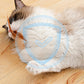 ⏳Begrenzte Zeit 50% Rabatt💥Interaktiver Hüpfball für Katzen mit Federn