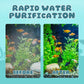 ⏳Begrenzte Zeit 50% Rabatt💥Leiser elektrischer Filter für Aquarien