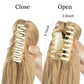 Lang Haar Chignon
