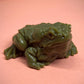 ⏳Begrenzte Zeit 50% Rabatt💥Squishy Frosch-Stressspielzeug