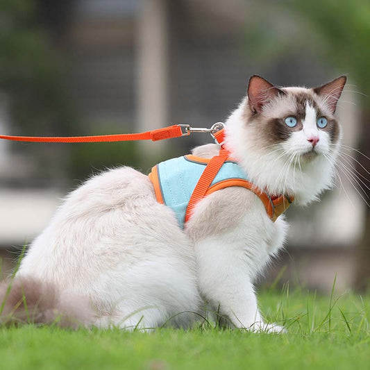 ⏳Begrenzte Zeit 50% Rabatt💥Anti-Flucht-Reflexionsgeschirr für Katzen mit Leine