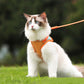 ⏳Begrenzte Zeit 50% Rabatt💥Anti-Flucht-Reflexionsgeschirr für Katzen mit Leine