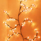 🎁Heiße Aktion 50 % Rabatt Weinreben-Blumen-Atmosphärenlampe 💫