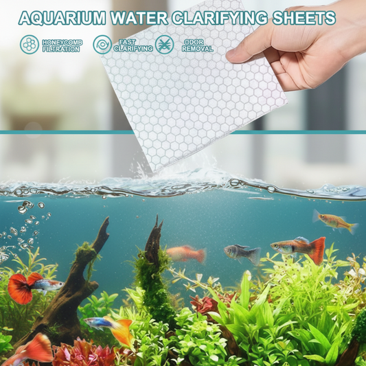 🌊 Kristallklares Aquarium ohne Aufwand – so einfach ist das! 😱