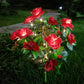Solar Blumenleuchte Rhododendron - LED Bodeneinstecker für Garten & Terrasse