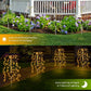 ☀️Solarbeleuchtung für Den Außenbereich – Wunderschöne Garten- & Wegambiance, Automatisches Ein/Aus & Wetterfest 🏡