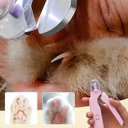 ⚠️ Ein falscher Schnitt kann Ihrem Haustier wehtun – schneiden Sie Krallen jetzt kontrollierter mit LED-Licht 🐶🐱