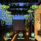 ☀️ KAUFE 3, ERHALTE 1 GRATIS! 🌿 Solar-Efeu-Lichterkette – Wasserdicht, 8 Modi & flexibel – Perfekt für Garten, Balkon & Wanddekoration 💡