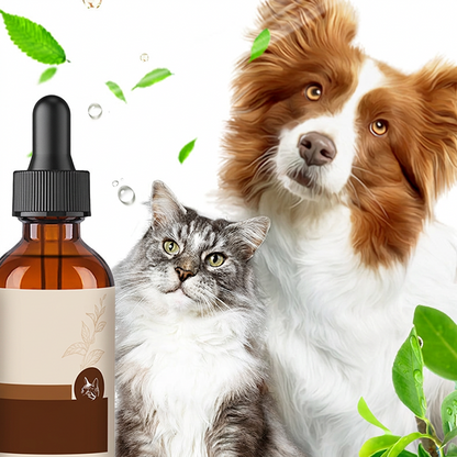 Ohrenspülung mit Teebaumöl für Katzen und Hunde