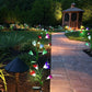 Draussen Solar Gartenlichter LED Solarbetrieben