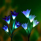 Draussen Solar Gartenlichter LED Solarbetrieben