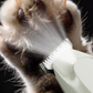 Precision Pet Hair Trimmer for Paws, Eyes, and Ears