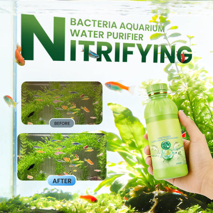 Nitrifizierende Bakterien Aquarienwasserreiniger