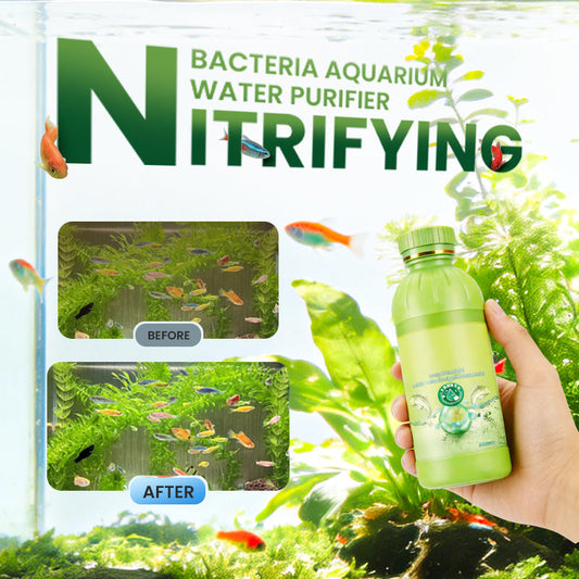 Nitrifizierende Bakterien Aquarienwasserreiniger