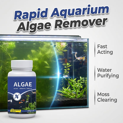 Algenentferner-Tabletten für klares Wasser im Aquarium