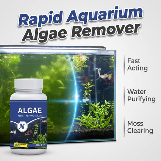 Algenentferner-Tabletten für klares Wasser im Aquarium