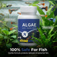 Algenentferner-Tabletten für klares Wasser im Aquarium
