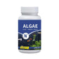 Algenentferner-Tabletten für klares Wasser im Aquarium