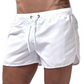 🥳Neuheiten 2026🥳💞50 % Rabatt | Men’s Summer Quick Dry Beach Shorts