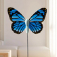 Electric Suction Cup Cat Teaser with Rotating Butterfly
