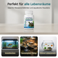🥳SCHLUSSVERKAUF 2026🥳💞50 % RABATT | Über 50.000 verkauft! Professionelle Wasseraufbereitungstabletten für Schildkrötenbecken