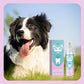 Zahnpflegespray für Hunde und Katzen