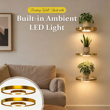 🌿✨ Schwebendes Wandregal mit LED-Licht – Goldenes Pflanzendisplay | Jetzt 50% Rabatt 🏡