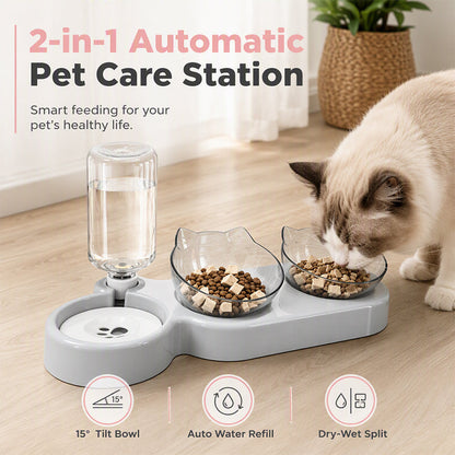 Ergonomischer, erhöhter und geneigter 2-in-1-Futternapf für Haustiere
