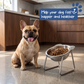 🥣50% Sonderangebot🐾 Gesunde Ernährung beginnt mit der richtigen Haltung! – Der erhöhte 15°-Schrägnapf – beugt Verschlucken vor & schont Nacken und Gelenke – für Hunde & Katzen jeden Alters✨