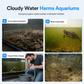 🐢Kotauffangbehälter für Schildkröten und Aquarienreiniger