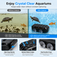 🐢Kotauffangbehälter für Schildkröten und Aquarienreiniger