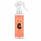 Glättendes und pflegendes Leave-in-Haarspray für trockenes, krauses und verfilztes Haar, 100 ml