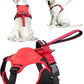 HOT SALE🔥Hundegeschirr und einziehbare Leine in einem Set